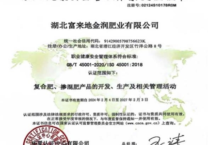 職業(yè)健康安全管理體系認證證書